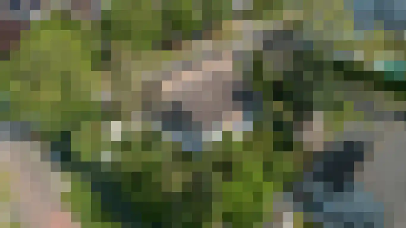 Kervinkpolder 2 Bergen op Zoom thumbnail 43