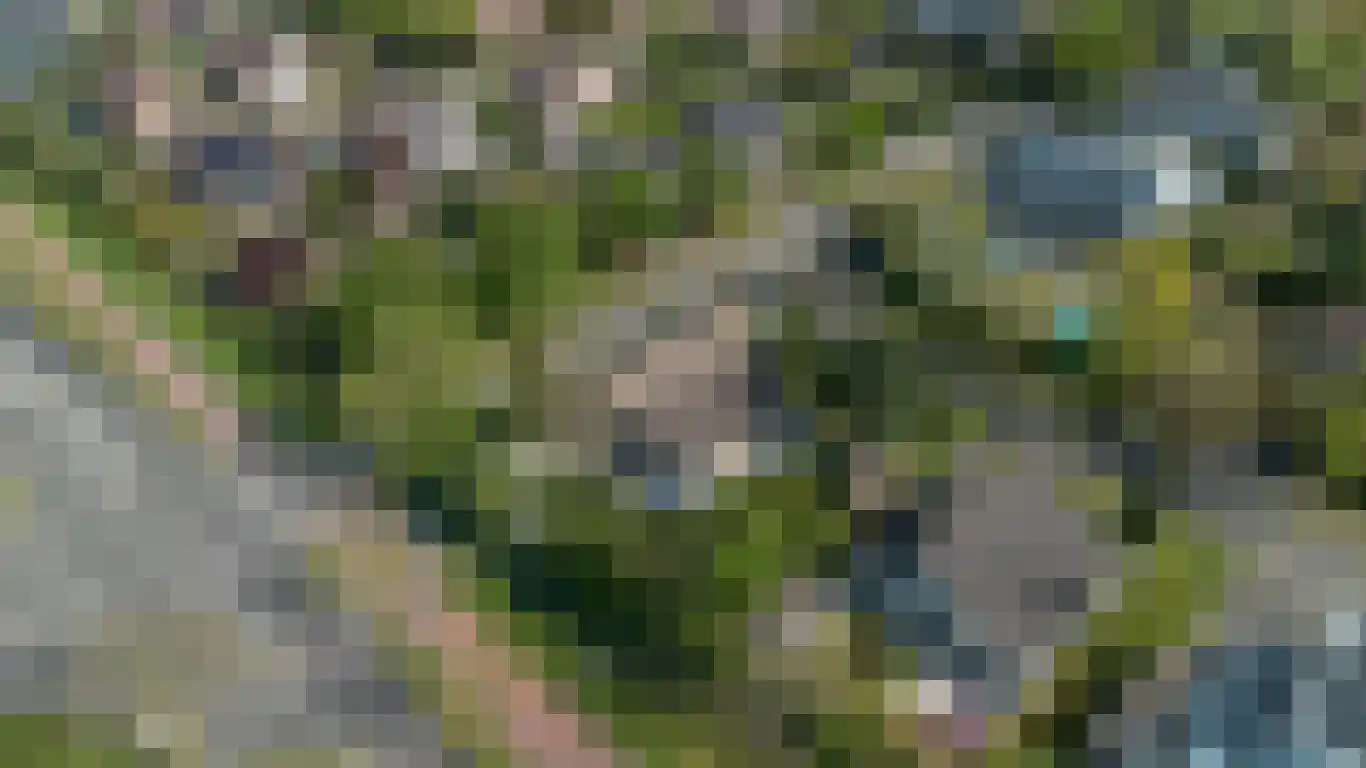 Kervinkpolder 2 Bergen op Zoom thumbnail 44