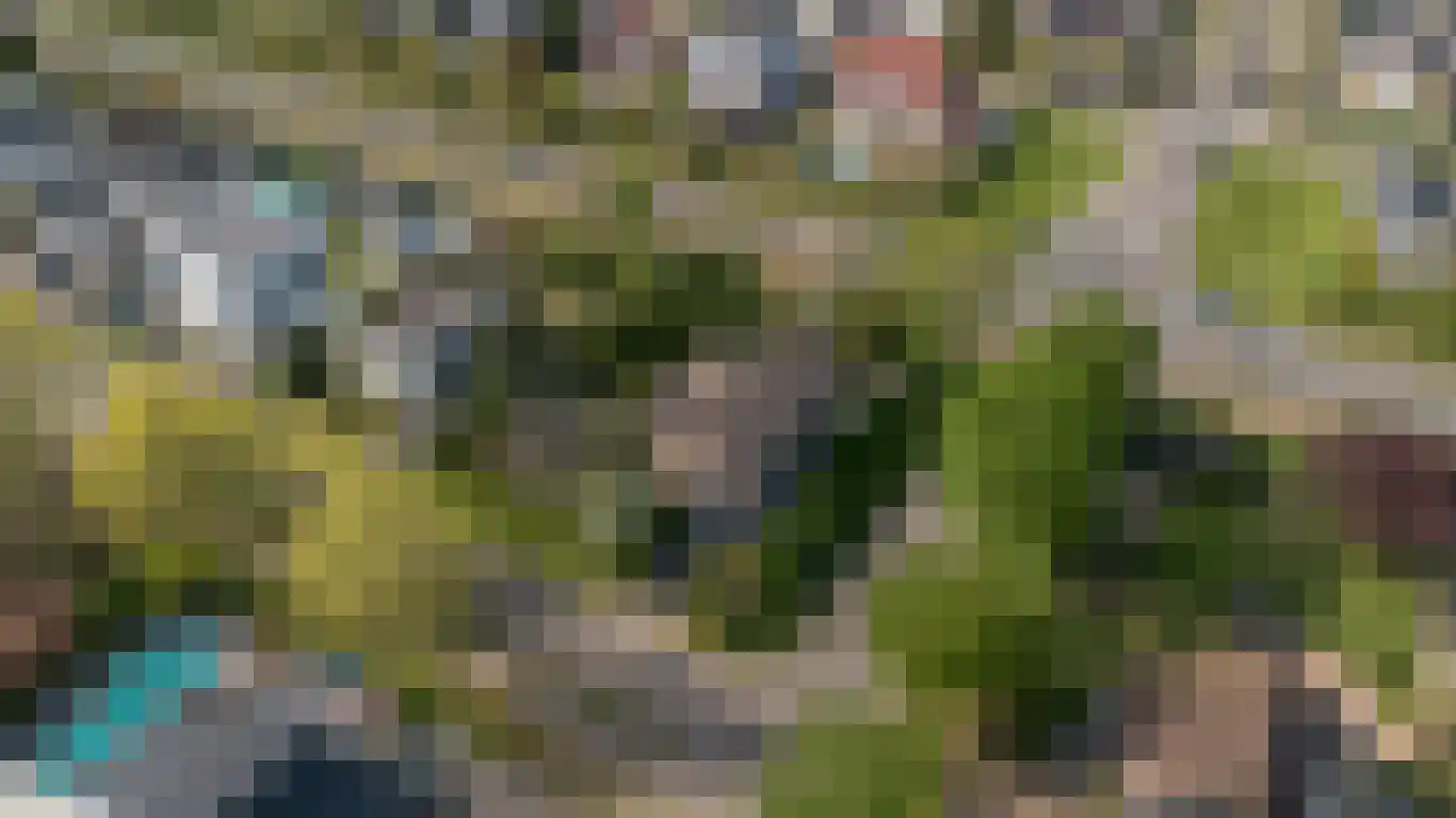 Kervinkpolder 2 Bergen op Zoom thumbnail 45