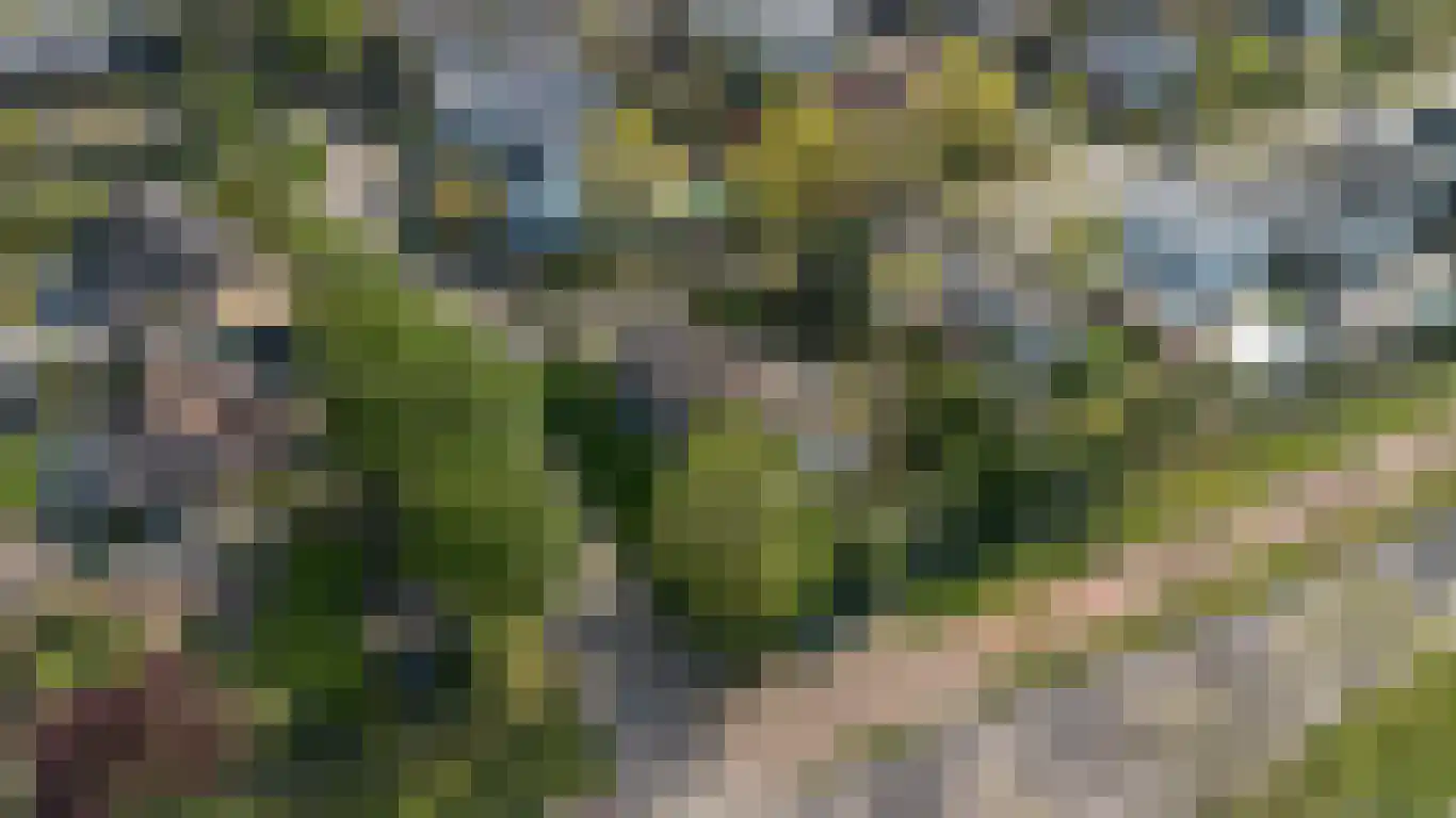 Kervinkpolder 2 Bergen op Zoom thumbnail 46