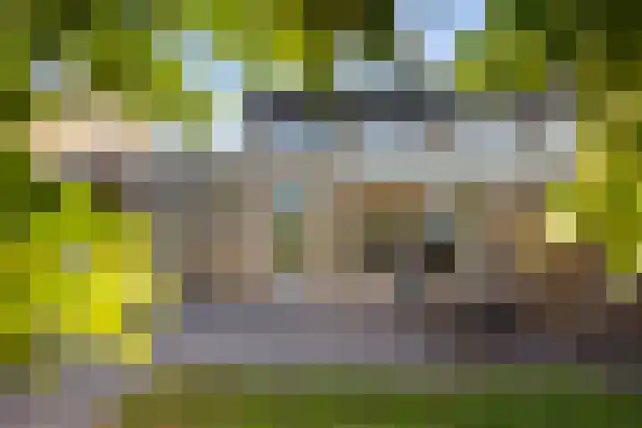 Keslaerstraat 29 Veghel thumbnail 29