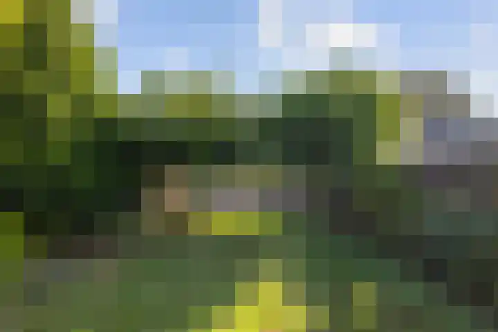 Keslaerstraat 29 Veghel thumbnail 30