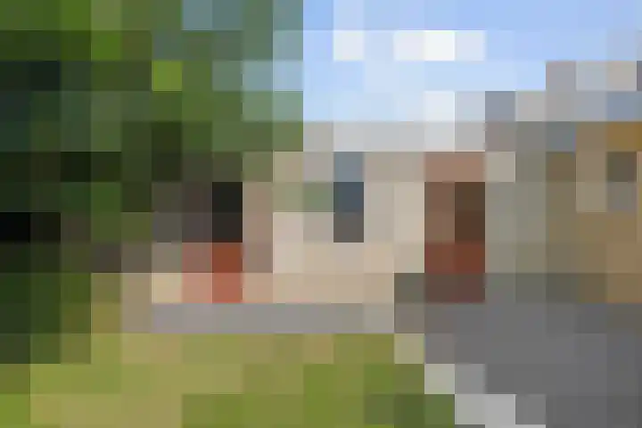 Keslaerstraat 29 Veghel thumbnail 38
