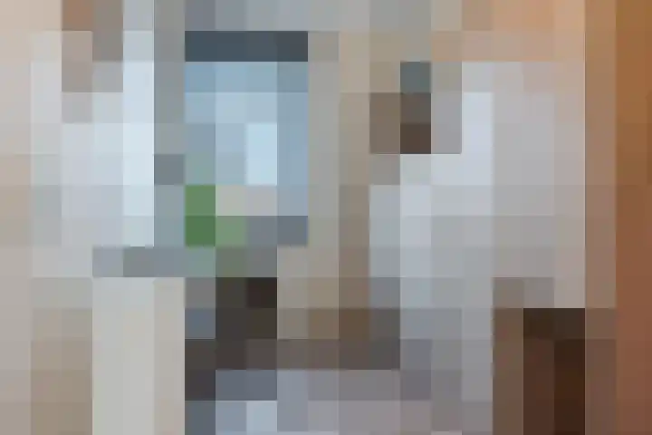 Kesselakker 13 Veghel thumbnail 25