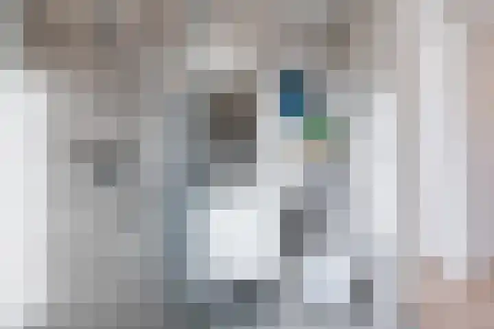 Kesselakker 13 Veghel thumbnail 28