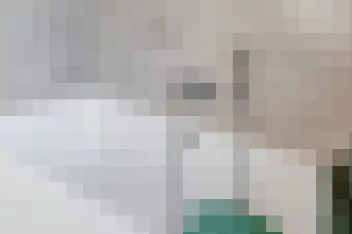 Kesselakker 13 Veghel thumbnail 29
