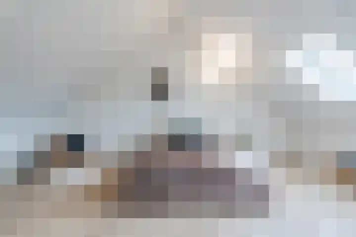 Kesselakker 13 Veghel thumbnail 32