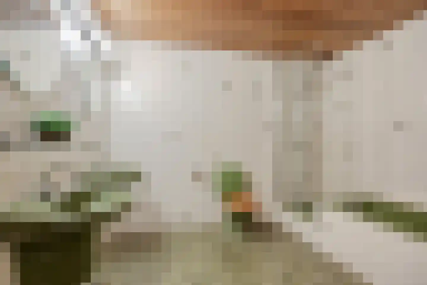 Kesselcamp 3 Asten thumbnail 25