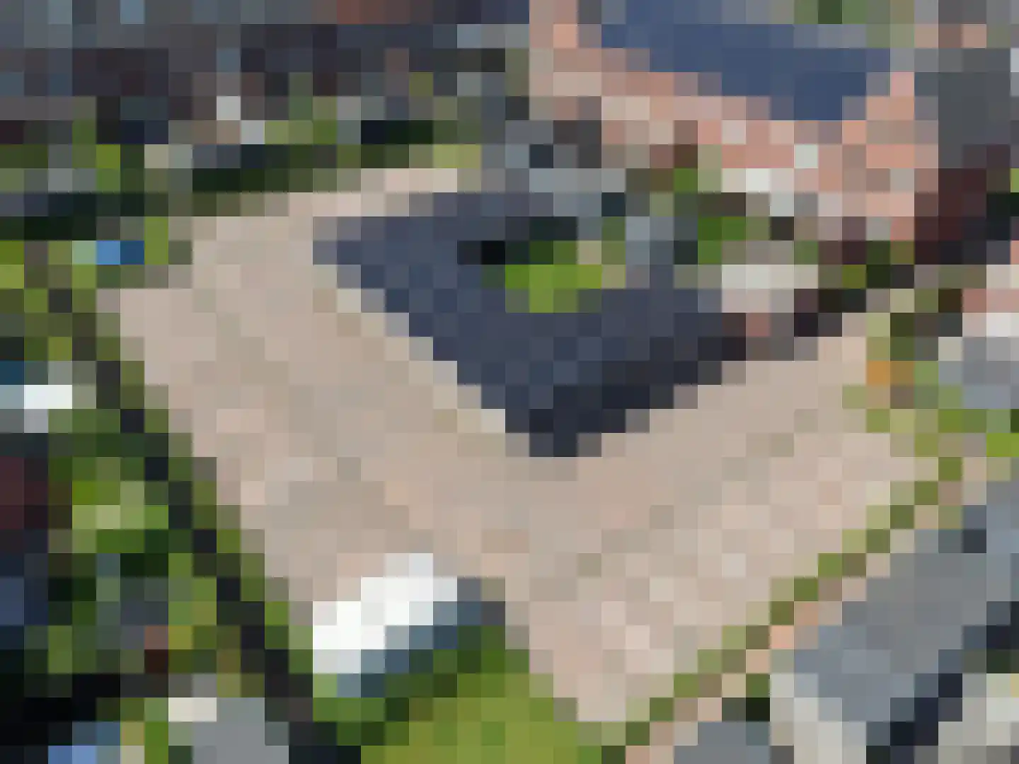 Kesselhof 12 Amersfoort thumbnail 35