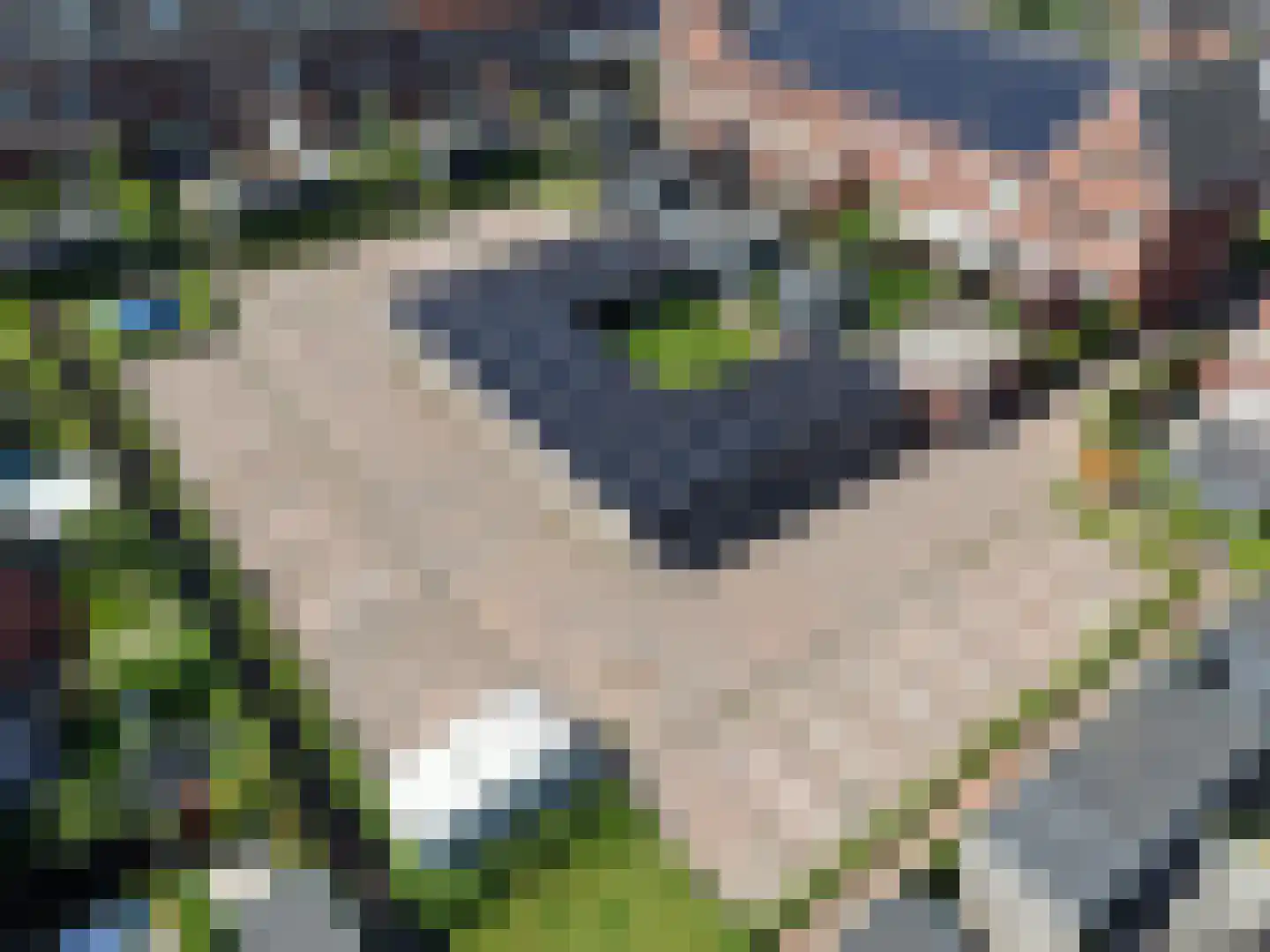 Kesselhof 6 Amersfoort thumbnail 37