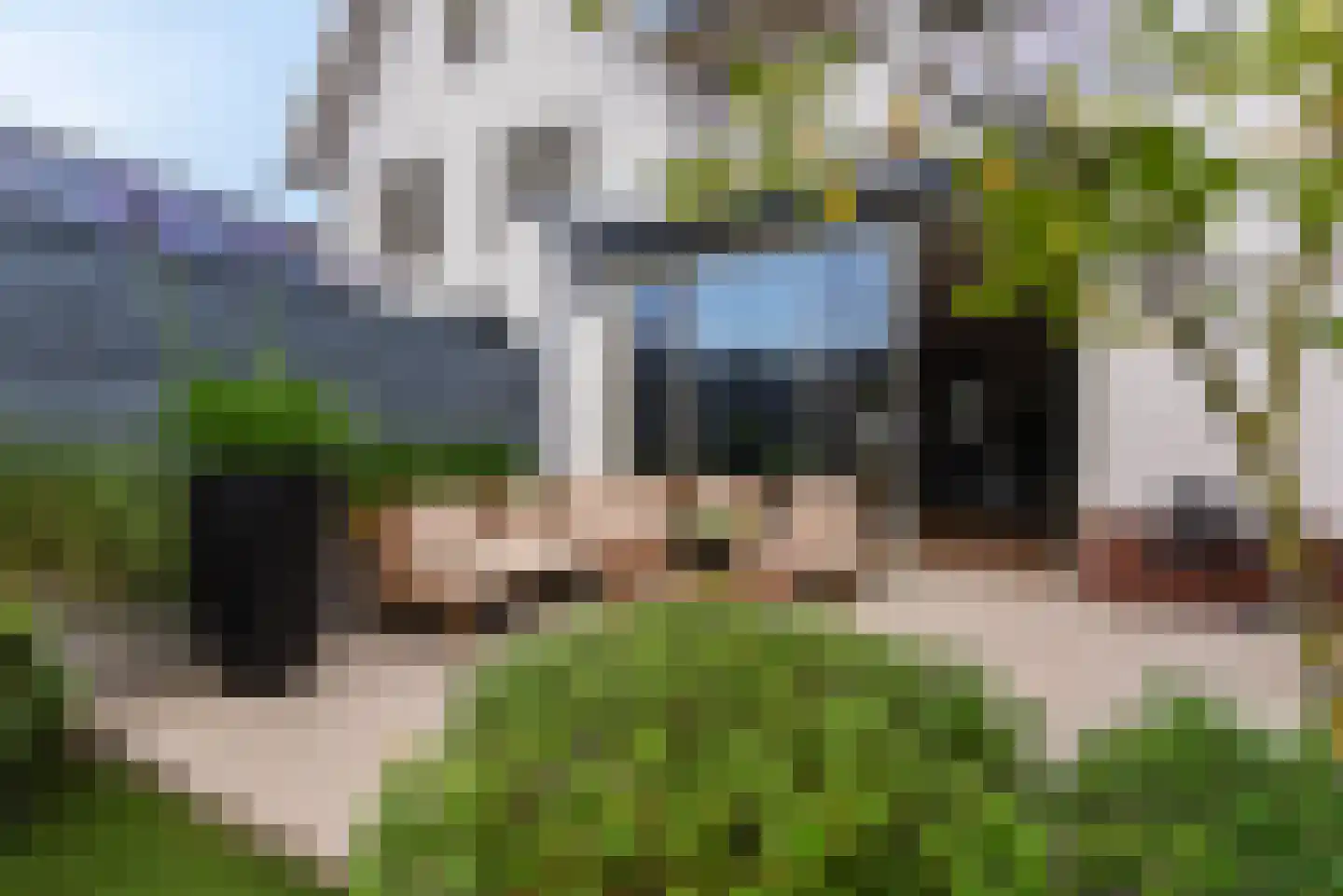 Kesselhof 6 Amersfoort thumbnail 8