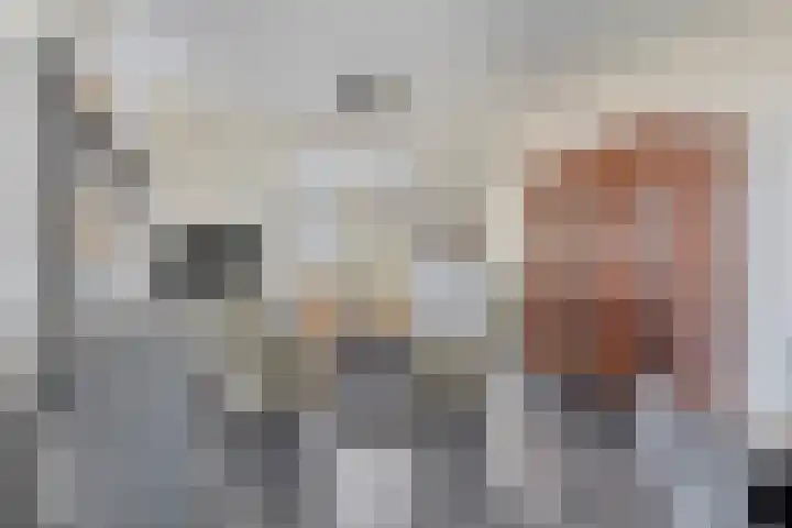 Kesselse Dijk 23 Maren-Kessel thumbnail 10