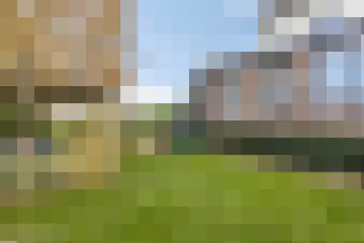 Kesselse Dijk 23 Maren-Kessel thumbnail 42