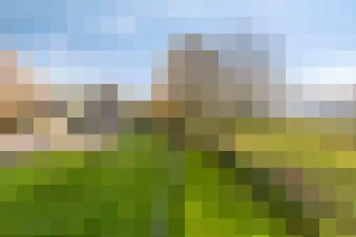 Kesselse Dijk 23 Maren-Kessel thumbnail 52