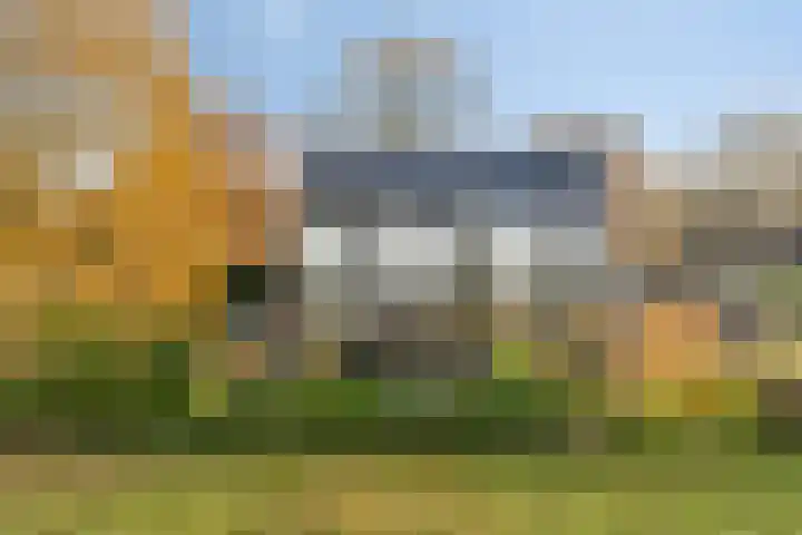 Kesselse Dijk 23 Maren-Kessel thumbnail 53