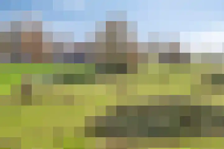Kesselse Dijk 23 Maren-Kessel thumbnail 56