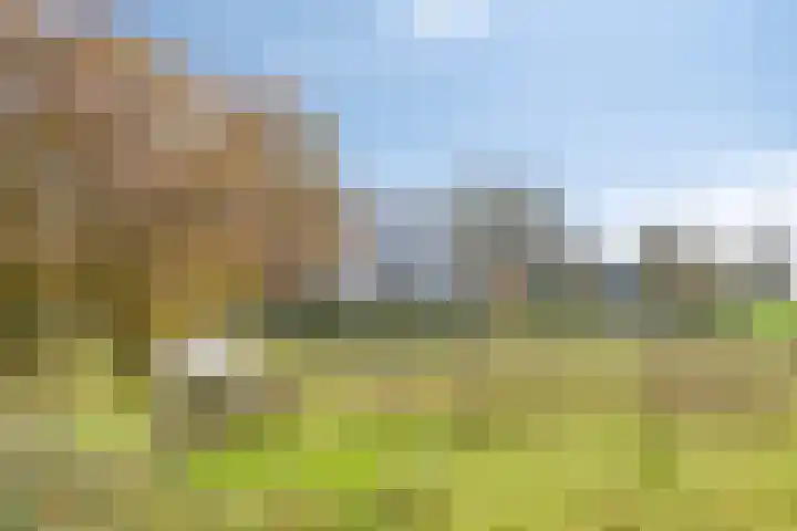 Kesselse Dijk 23 Maren-Kessel thumbnail 57