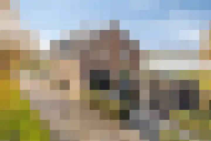 Kesselse Dijk 23 Maren-Kessel thumbnail 6