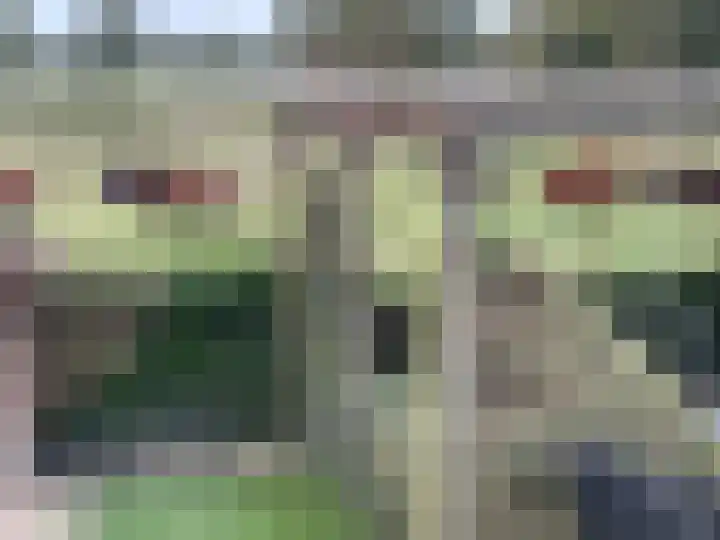 Kesselse Dijk 23 Maren-Kessel thumbnail 63