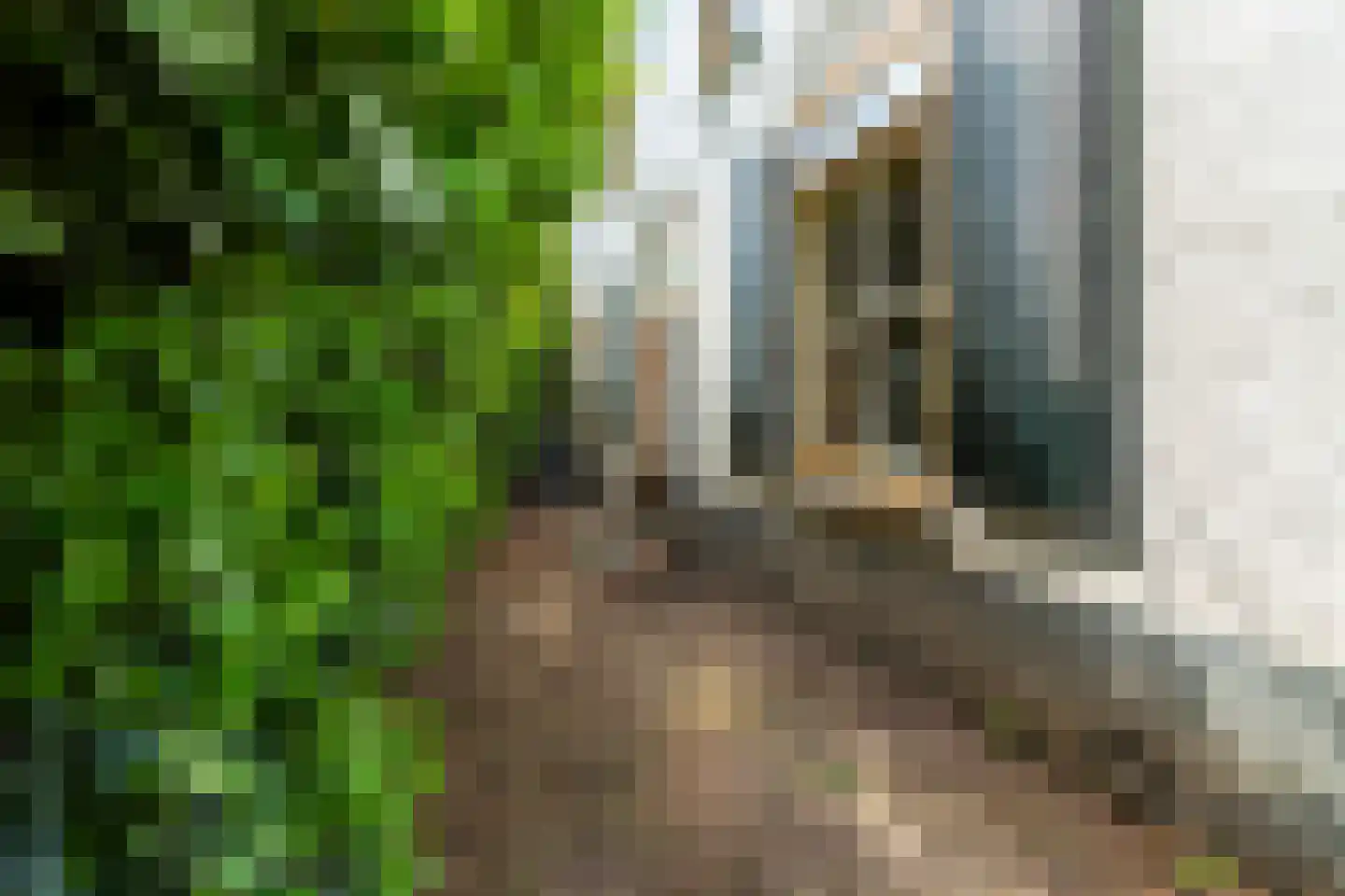 Kesselse Dijk 9 Maren-Kessel thumbnail 10