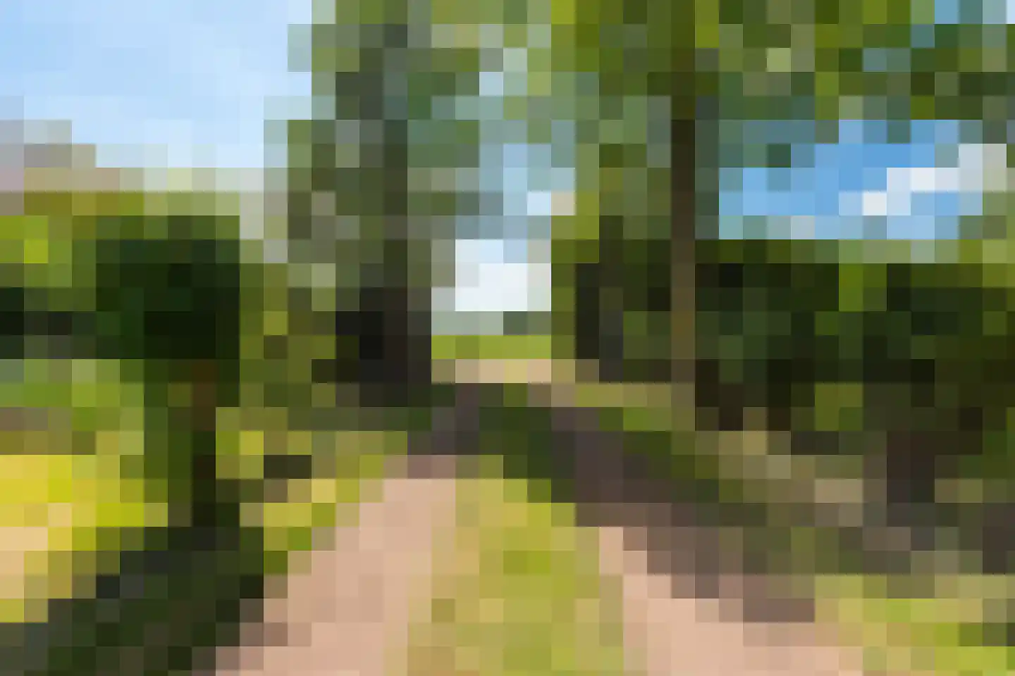 Kesselse Dijk 9 Maren-Kessel thumbnail 104