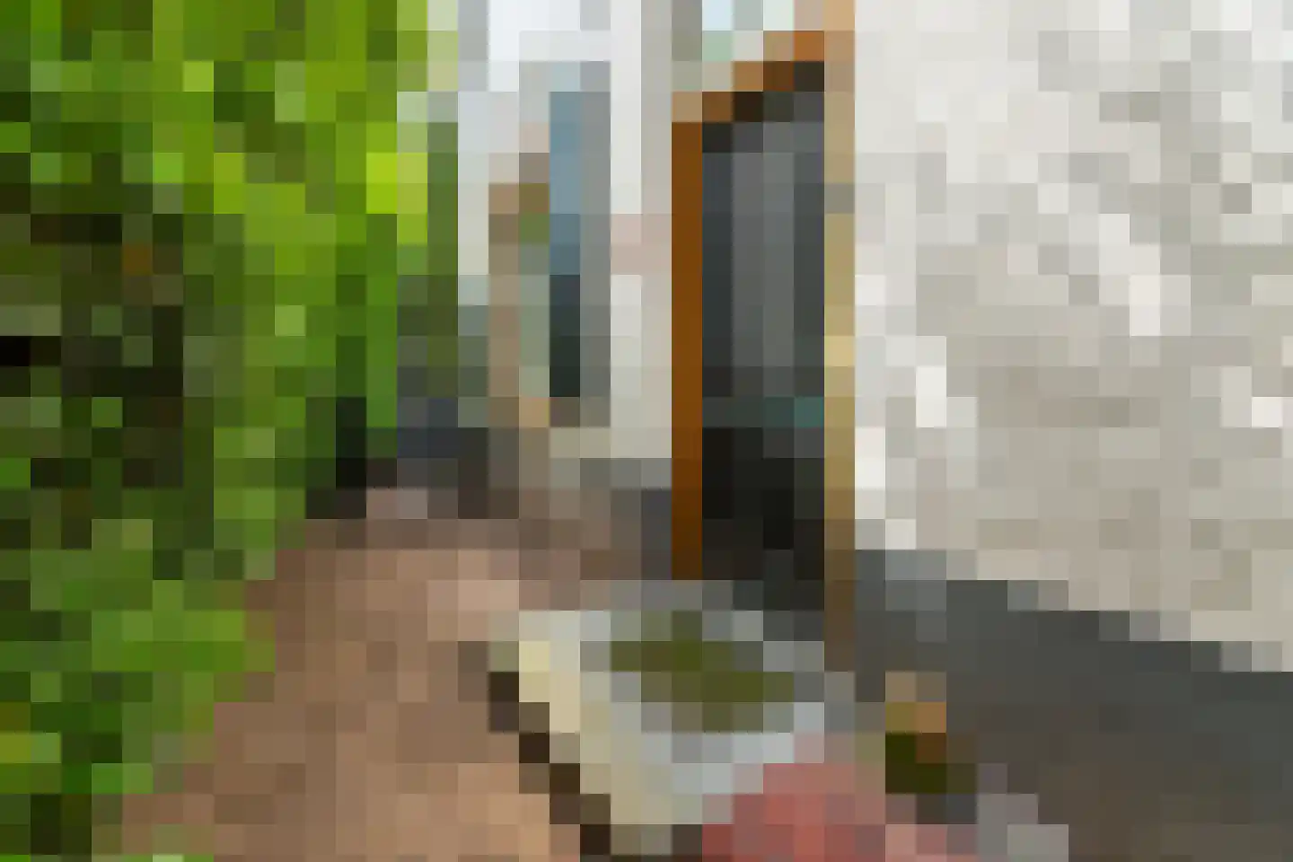 Kesselse Dijk 9 Maren-Kessel thumbnail 11