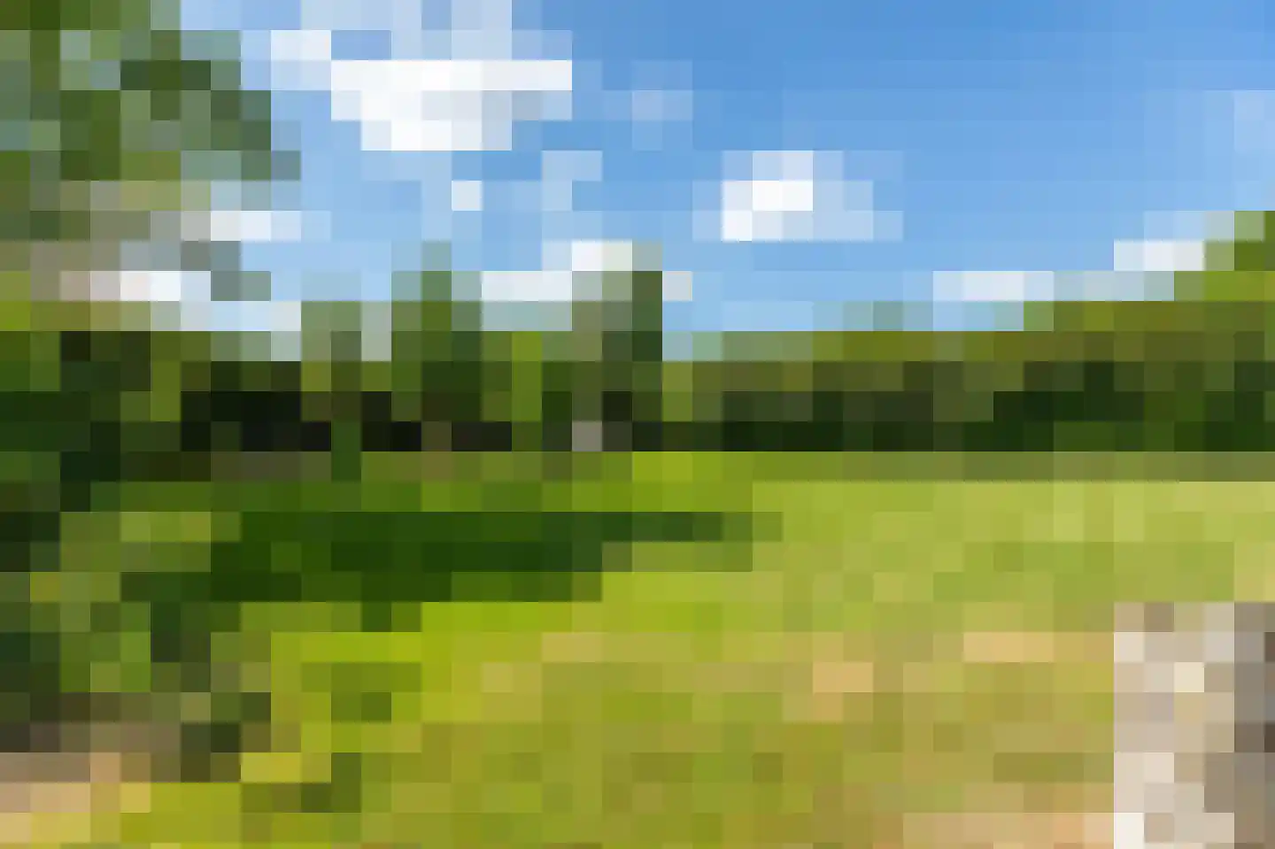 Kesselse Dijk 9 Maren-Kessel thumbnail 6