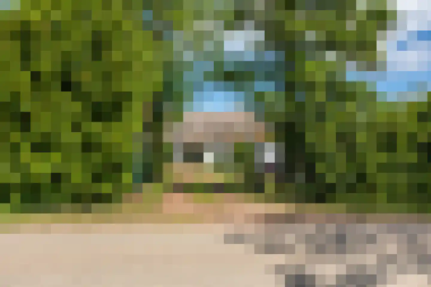 Kesselse Dijk 9 Maren-Kessel thumbnail 9