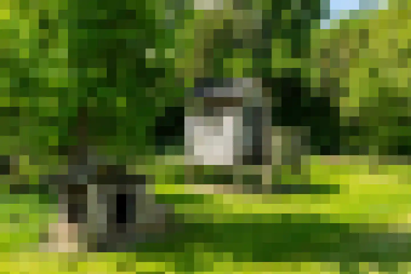 Kesselse Dijk 9 Maren-Kessel thumbnail 91