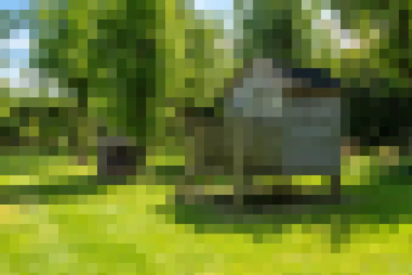 Kesselse Dijk 9 Maren-Kessel thumbnail 92