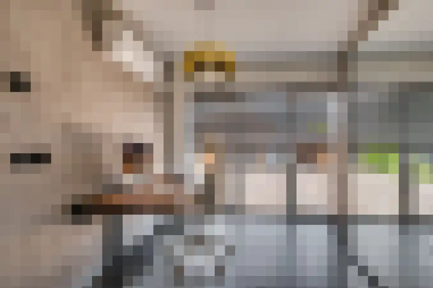 Kesselseweg 17 Reuver thumbnail 27
