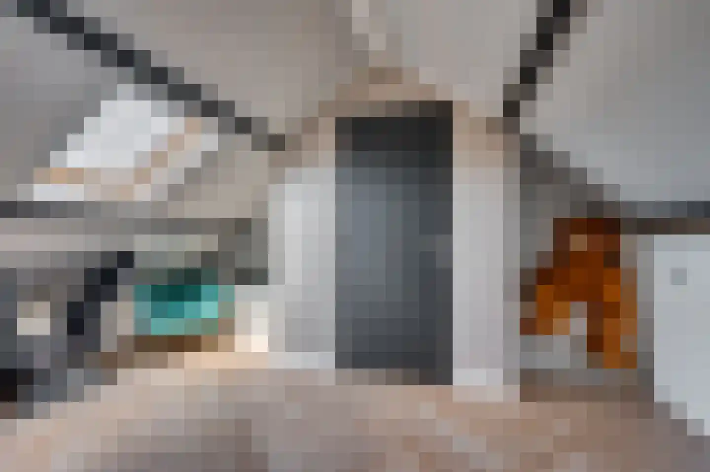 Kesselseweg 17 Reuver thumbnail 52