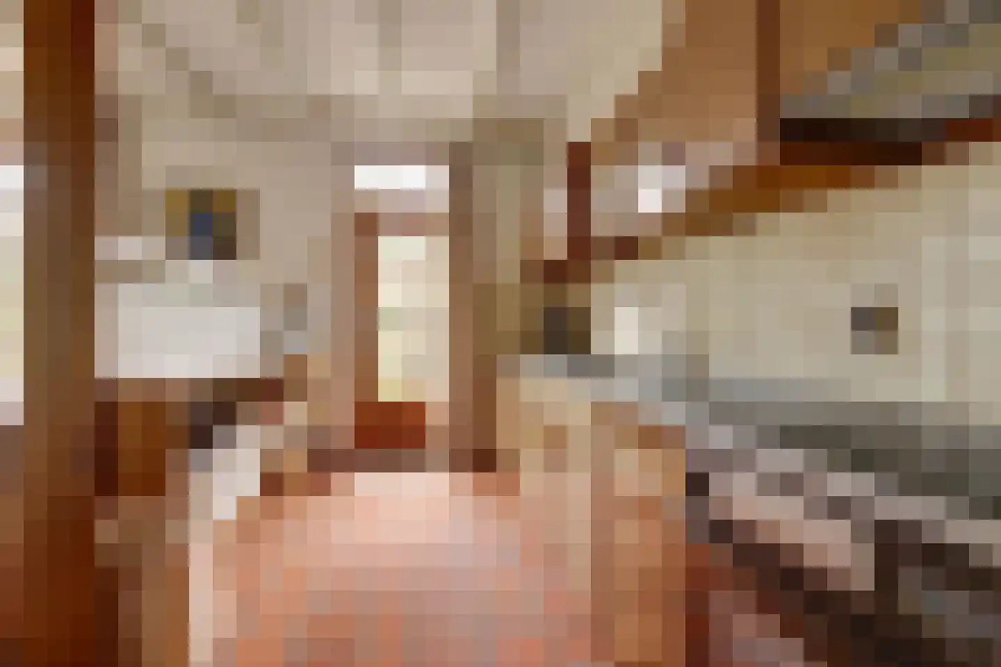 Kesselseweg 22 Helden thumbnail 14