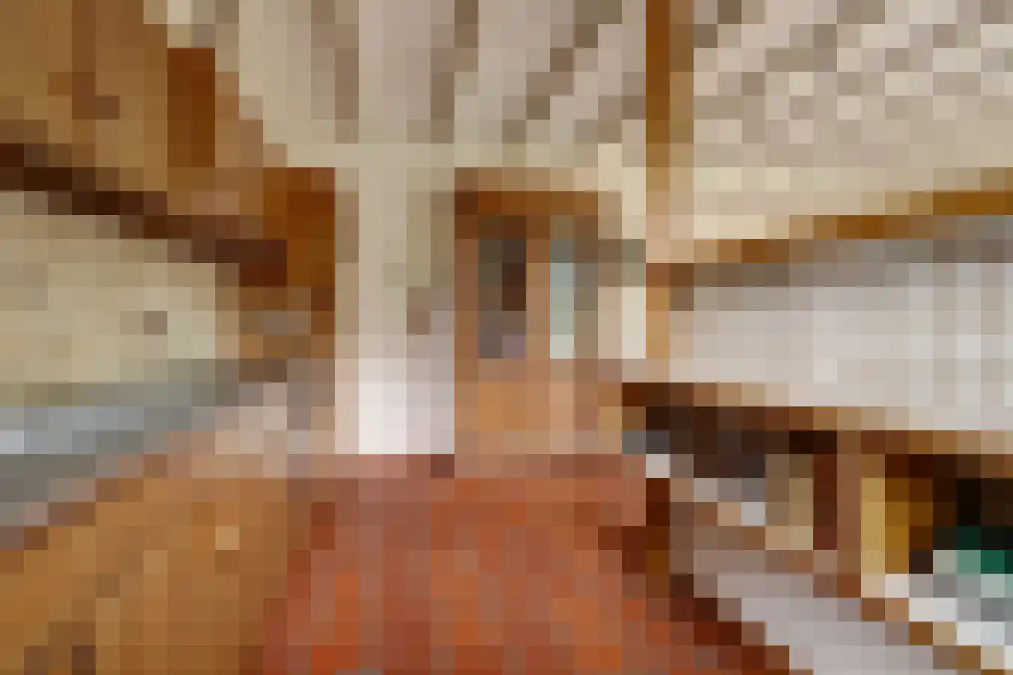 Kesselseweg 22 Helden thumbnail 15