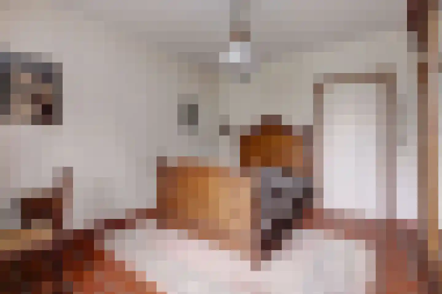 Kesselseweg 22 Helden thumbnail 19