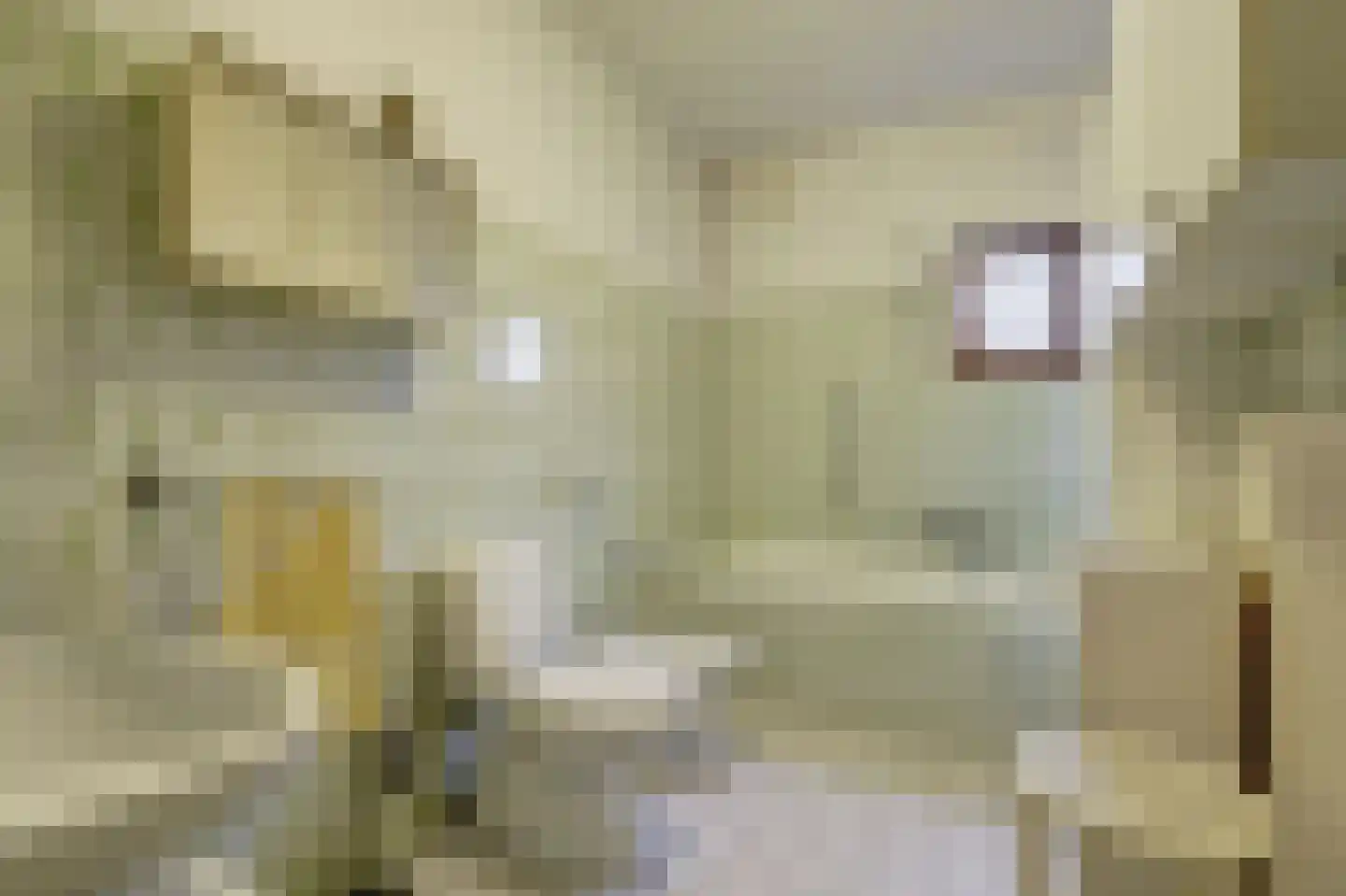 Kesselseweg 22 Helden thumbnail 20
