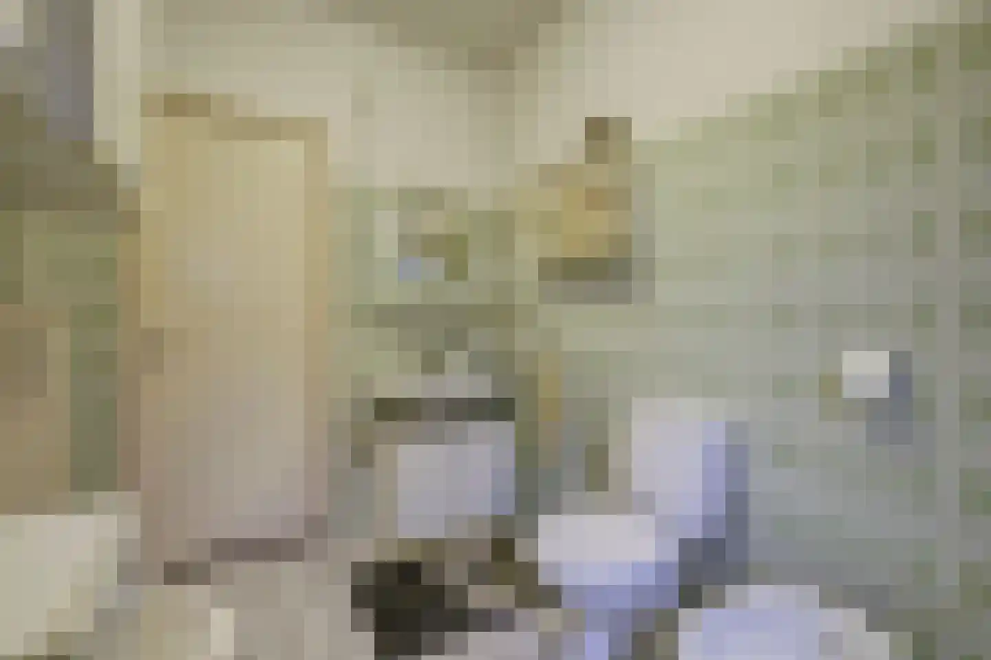 Kesselseweg 22 Helden thumbnail 21