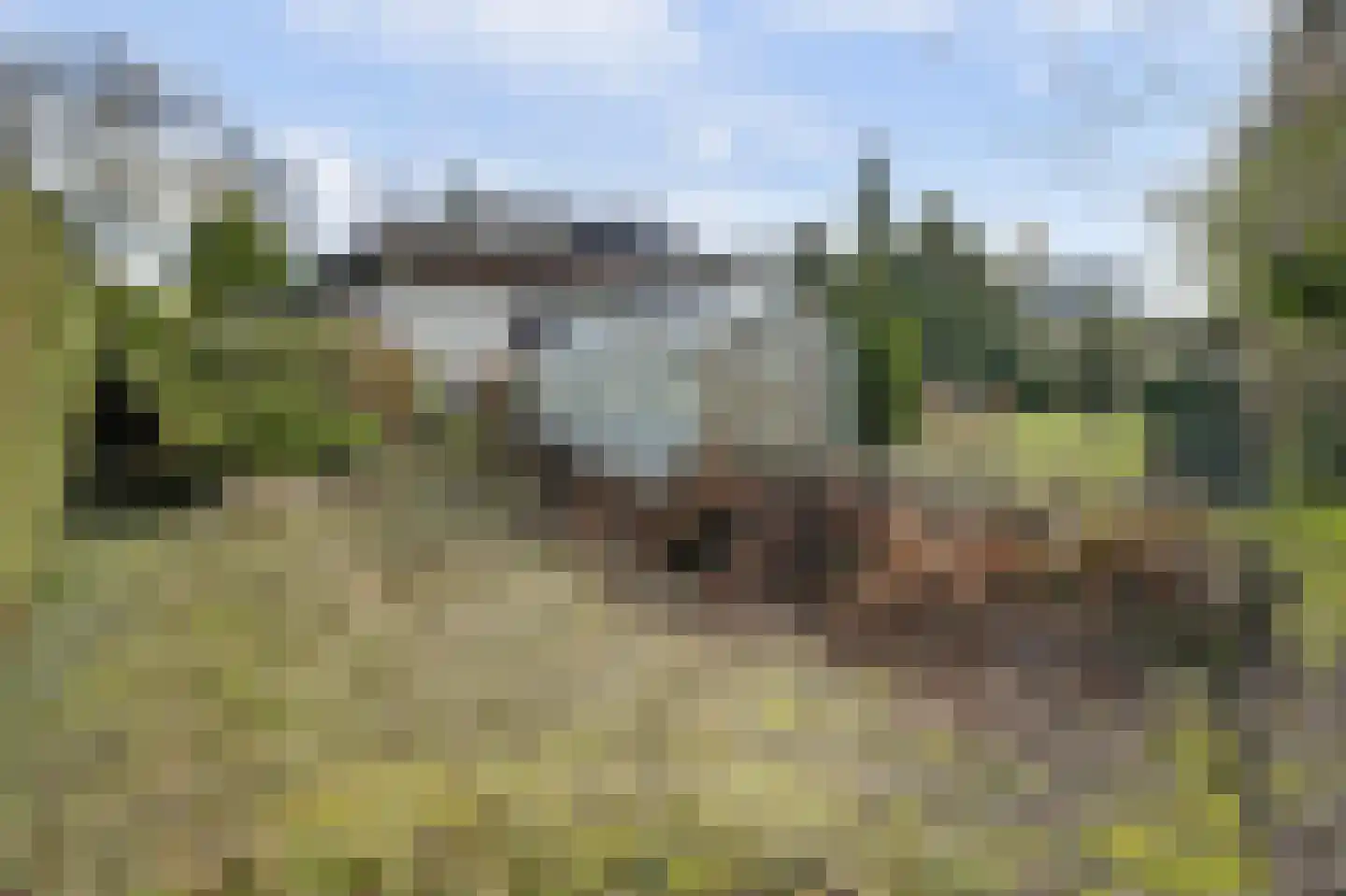 Kesselseweg 22 Helden thumbnail 37
