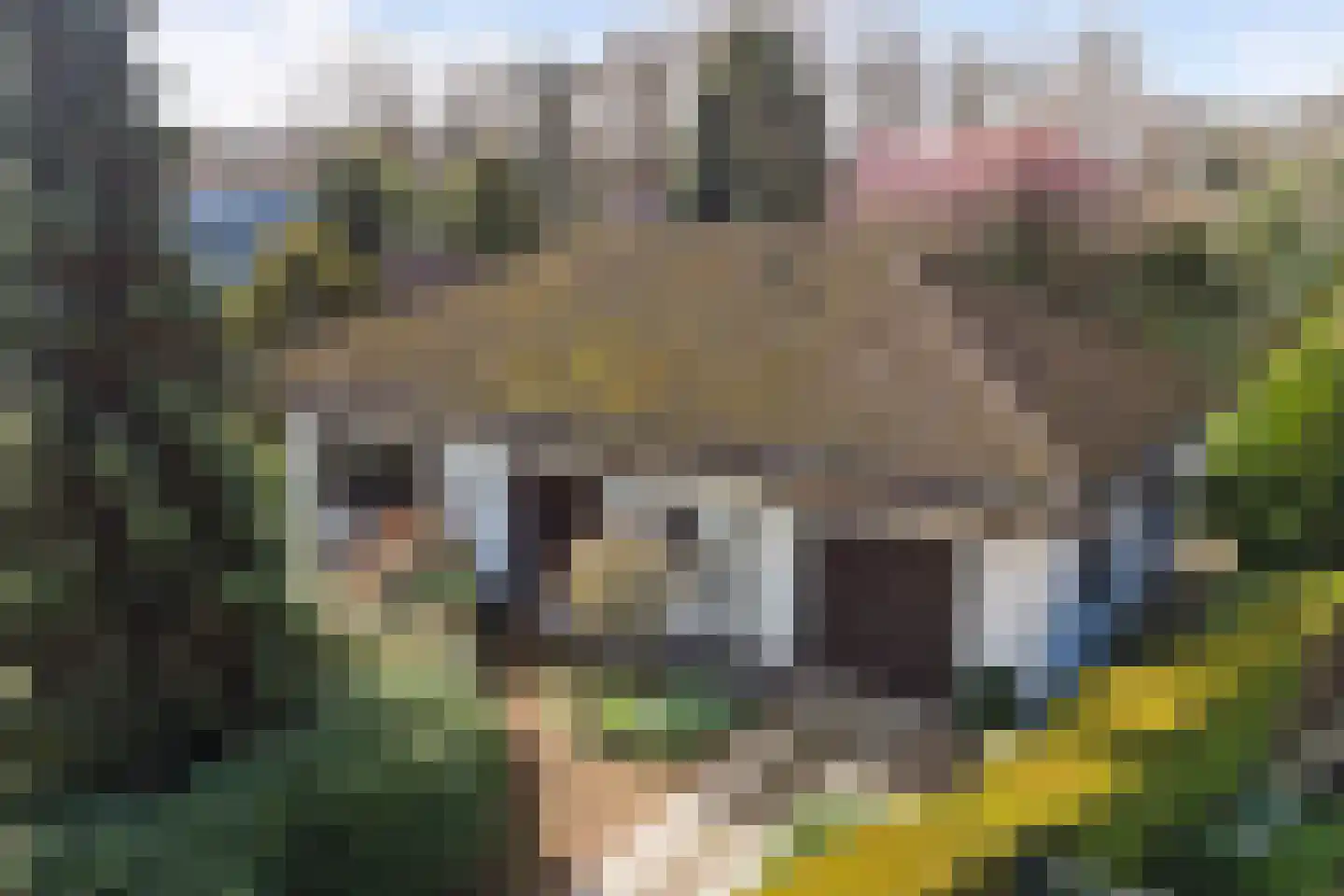 Kesselseweg 22 Helden thumbnail 45