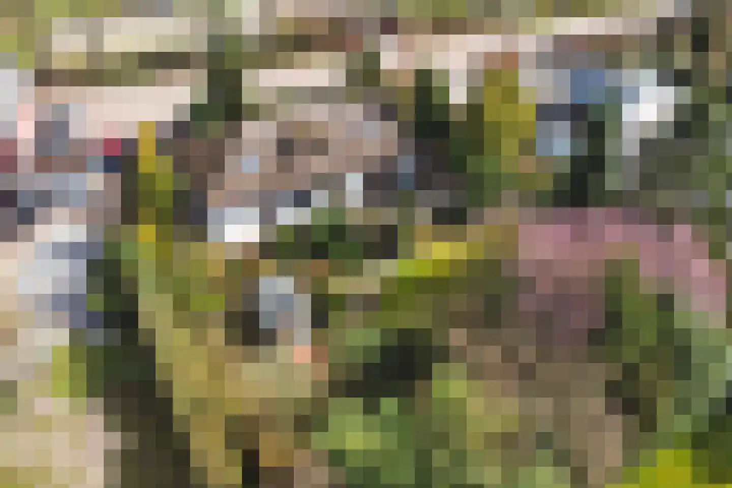 Kesselseweg 22 Helden thumbnail 48