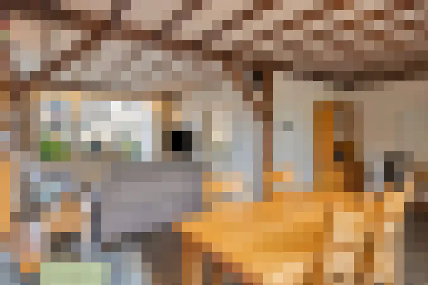 Kesselseweg 31 Reuver thumbnail 14