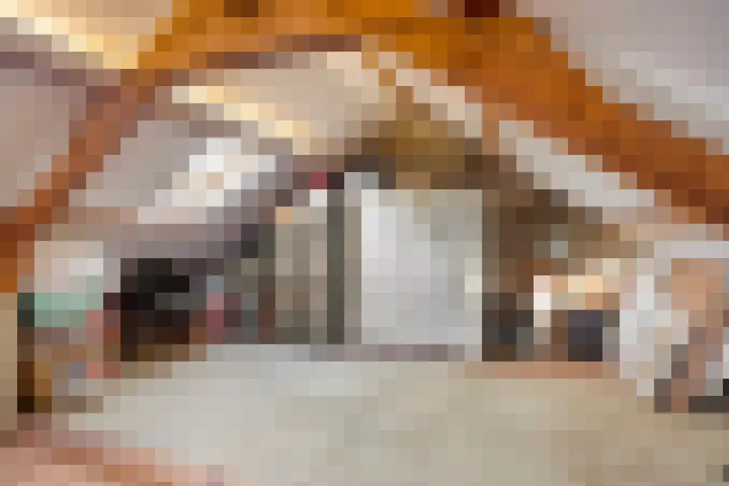 Kesselseweg 31 Reuver thumbnail 27