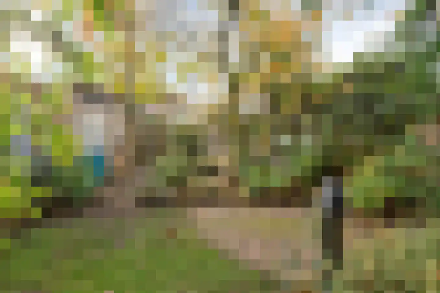 Kesselseweg 31 Reuver thumbnail 33