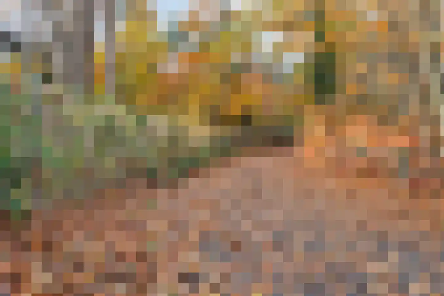 Kesselseweg 31 Reuver thumbnail 37