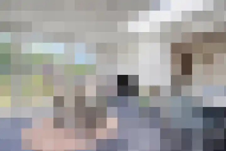 Kesselseweg 43 Reuver thumbnail 12