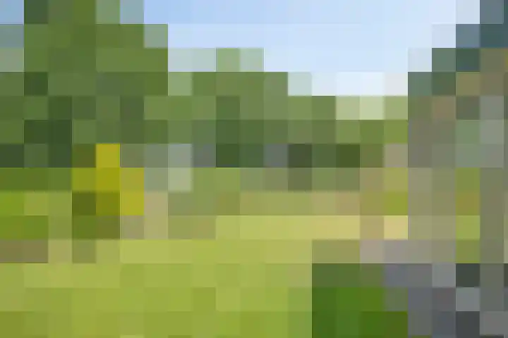 Kesselseweg 43 Reuver thumbnail 18
