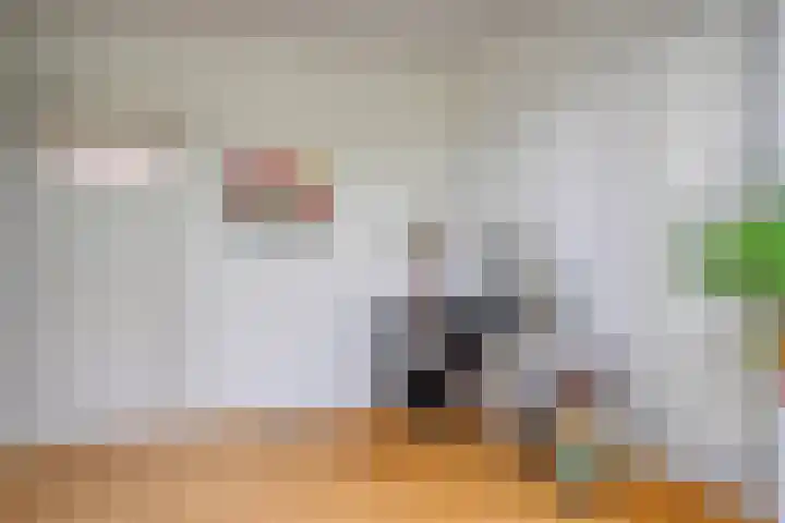 Kesselseweg 43 Reuver thumbnail 19