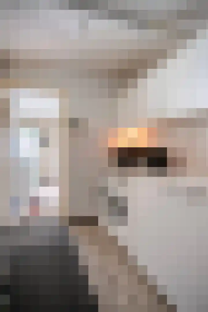Kesselseweg 43 Reuver thumbnail 32