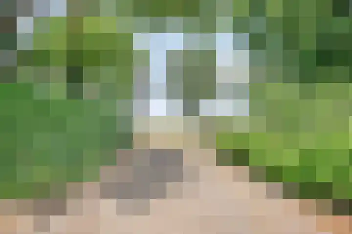 Kesselseweg 43 Reuver thumbnail 42