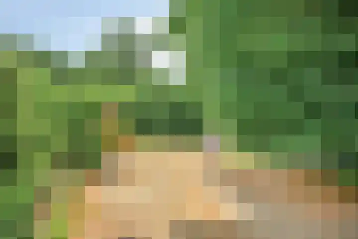 Kesselseweg 43 Reuver thumbnail 43